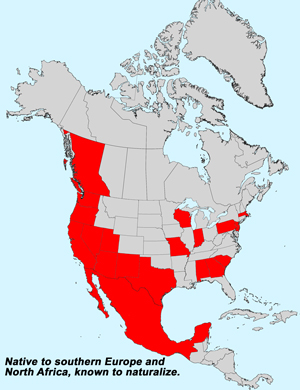 North America species range map for Centaurea melitensis: Click image for full size map North America species range map for Centaurea melitensis: Click image for full size map